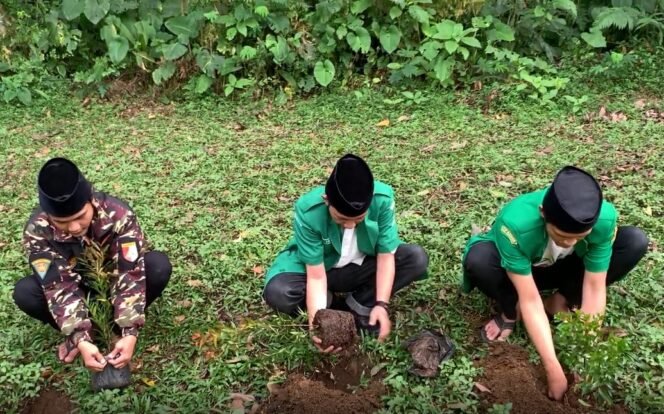 
					PC GP Ansor Sukabumi Lakukan Penanaman Simbolis 12.000 Pohon, Teguhkan Khidmah untuk Kelestarian Alam